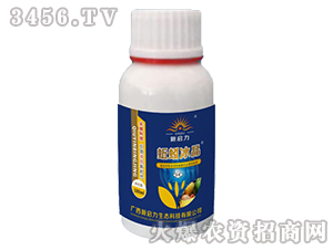 ������-����