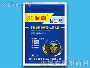 ������-�|��ϲ-�(y��ng)�ⴺ��