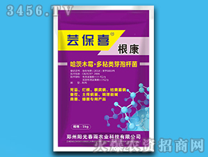 ����-�|��ϲ-�(y��ng)�ⴺ��