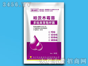 ����ľù��+��ճ�ѿ�ߗU��-������-�(y��ng)�ⴺ��