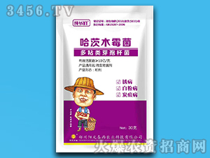 30g����ľù��+��ճ�ѿ�ߗU��-������-�(y��ng)�ⴺ��