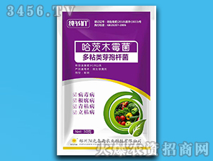 微生物菌劑-純爺們-陽(yáng)光春雨