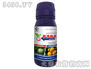 ����΢�������-�̝��^��-���r����