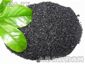 Ƭ�ֲ���-����