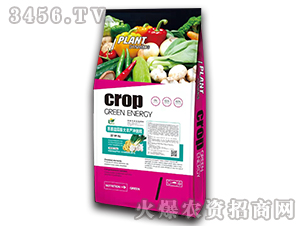 �[��������S�a(ch��n)�_ʩ��-�����f��