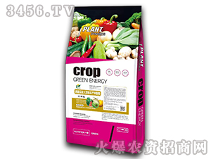 �������������S�a(ch��n)�_ʩ��-�����f��