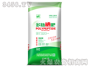 ���ĕ��-����