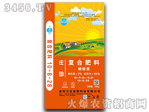 ������ͺϷ���10-8-28-�f�f