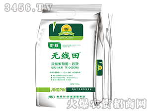 �������߾�������-�o(w��)����-�°��r(n��ng)