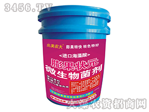 �����Ԫ-�����r(n��ng)��