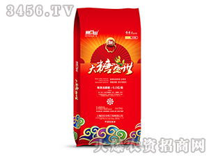 ����̼ø΢�������-����ʢ��-�������