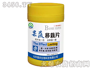 ��������Ƭ-��(qi��ng)�r(n��ng)����