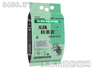 �o(w��)�����ز�-���_(t��i)��