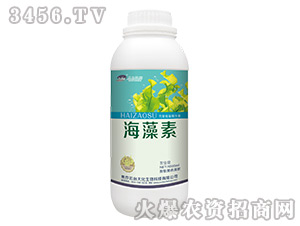 ������-���_(t��i)��