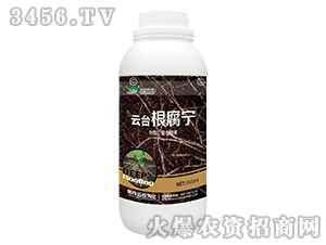 ���_(t��i)������-���_(t��i)��