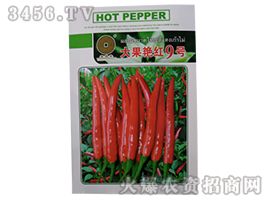 ����G�t9̖-�����N��-�A��N�I(y��)