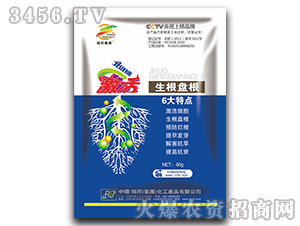 ���������P(p��n)��-����