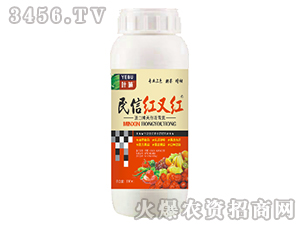 民信紅又紅-中隆勝達(dá)