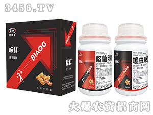 ������N��-�˗U-������