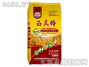 �ͺϵ���-�����-�ݵ���