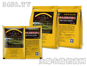 ֲ�����߼����-�پG��-�r��