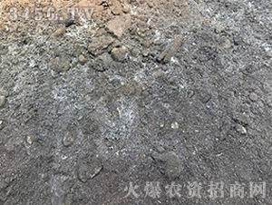 ΢�������-��(l��)Ⱥ�r(n��ng)�I(y��)