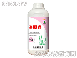 �����V-Ԫ��ֲ��