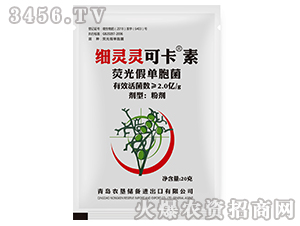 �ɹ�نΰ���-��(x��)�`�`�ɿ���-�r(n��ng)��