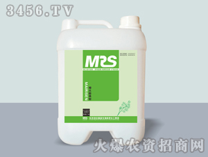 ��������͛_ʩ��9-12-40+TE-�~�ɭ