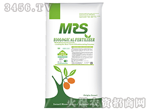 �������-�~�ɭ