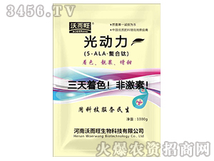 ���(d��ng)��-�ֶ���