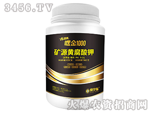 �VԴ�S�����-�ٽ�1000-�ÌW(xu��)��