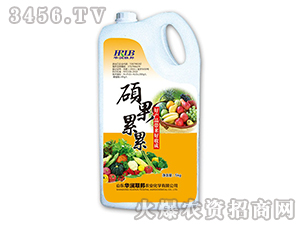 �T������-�A��(li��n)��