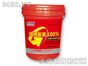 �������100%-�A��(r��n)�s��