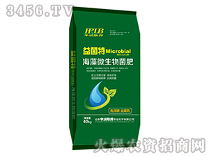 ����΢�������-�����-�A��(r��n)�s��