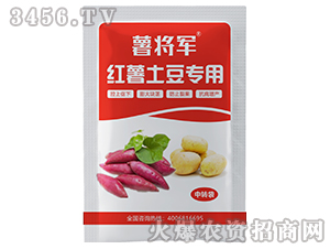 �t�������������������-�팢܊-�G�l(w��i)��