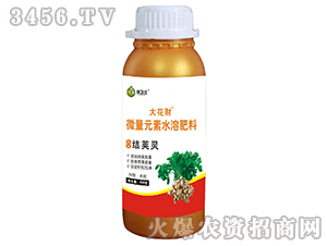 �����Y(ji��)�v�`-��ؔ(c��i)-�G�l(w��i)��