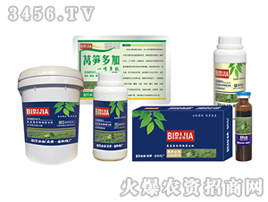 �n�S�ؼ�-�κ�����