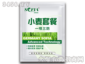 һ������С���ײ�-���Ɓ�