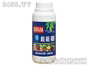 ������-�̱ؼ�-�κ�����