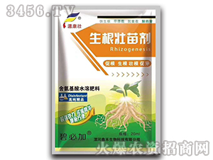 �����������焩-�𿵉�-�κ�