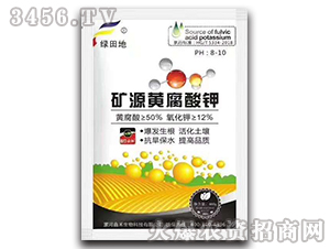 400g�VԴ�S�����-�G���-�κ�����