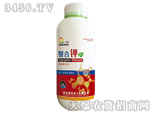 �ۺ��-�揊-���ϻ��� 