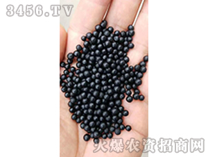 黑色顆粒有機肥-綠農(nóng)生化