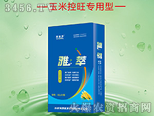 ���׿����������~���-����-��ʩ�{ 