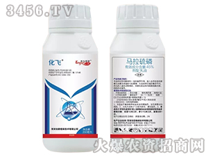 �R������-���w-����ֲ��