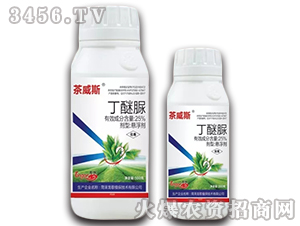 25%������Ҹ���-����˹-����