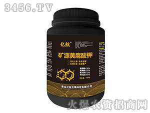 1000g�VԴ�S�����-�|������