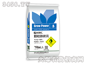 �w���F��Ԫ-ɽ���λ�