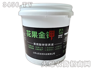 �S����⛠I(y��ng)�B(y��ng)Һ-�������-ɽ������ 